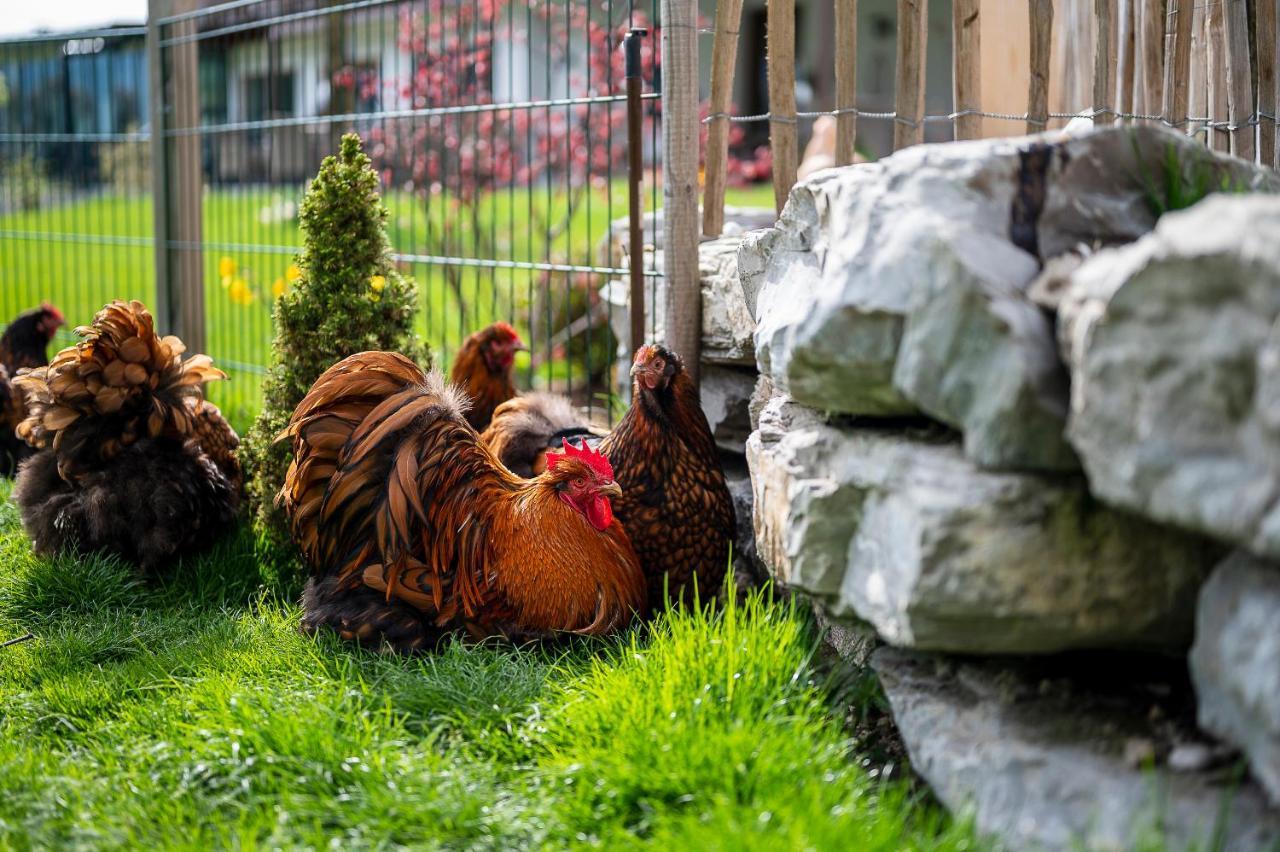 Daskaiser - Dein Gartenhotel In Tirol Ebbs Extérieur photo